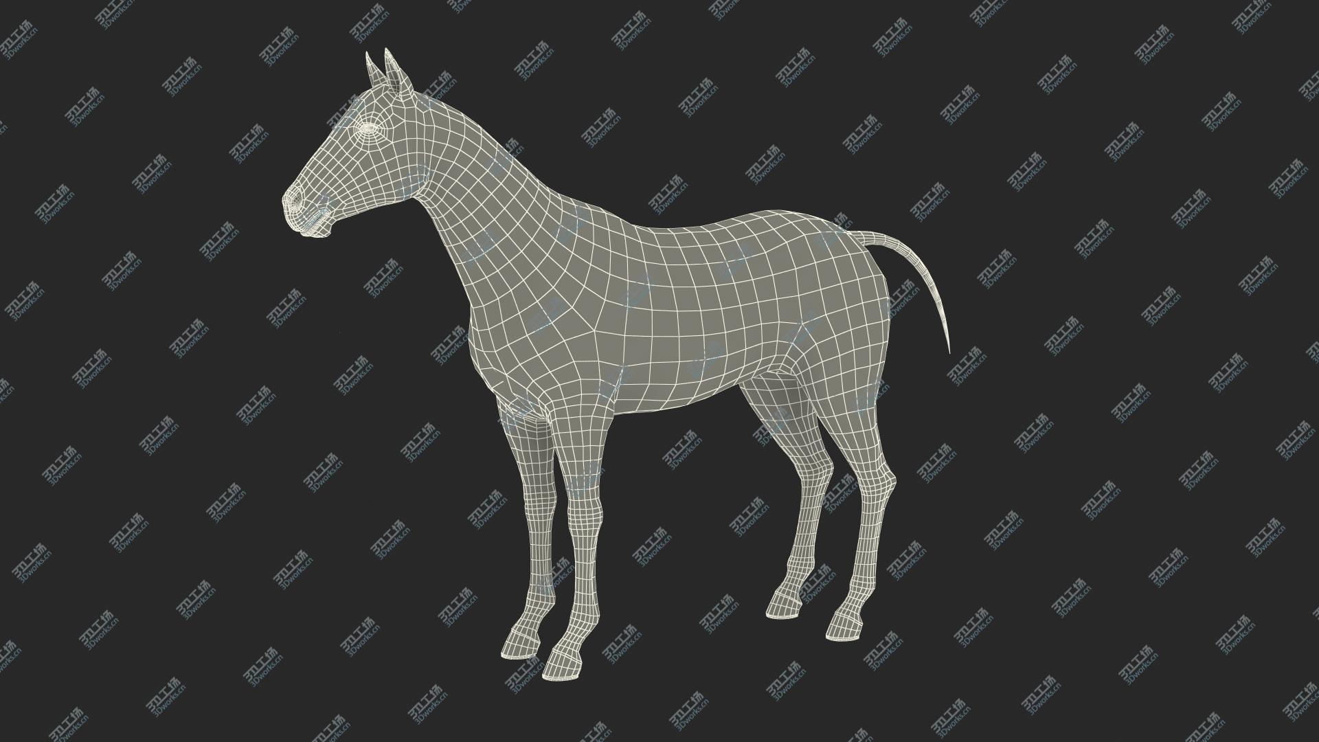 images/goods_img/20210319/3D White Horse Fur Rigged/5.jpg